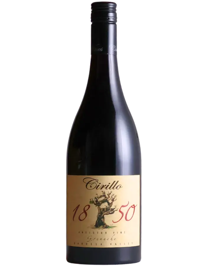 2019 Cirillo 1850 Ancestor Vine Grenache