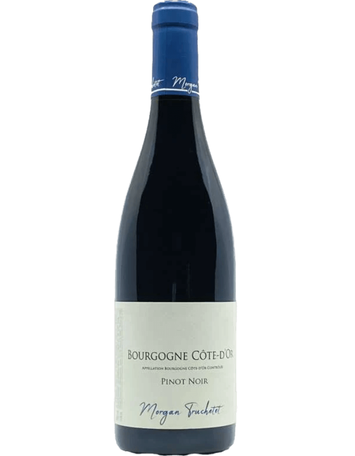 2020 Domaine Truchetet Cote d'Or Pinot Noir