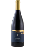 2022 Domaine Les Astrelles Les Combes Bourgogne Rouge