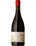 2022 Marco Lubiana One Terroir Pinot Noir