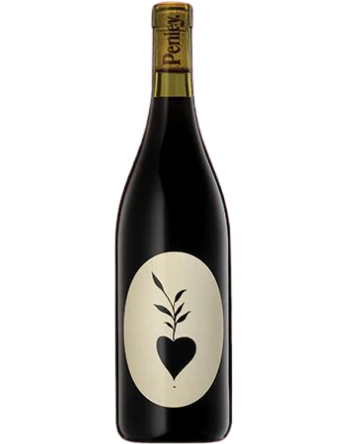2022 Penley Estate Project E Cabernet Sauvignon