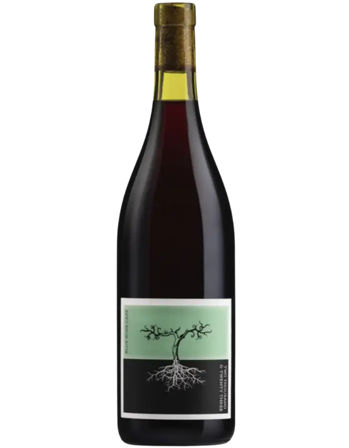 2023 Poppelvej Blue Rose Case Cinsault