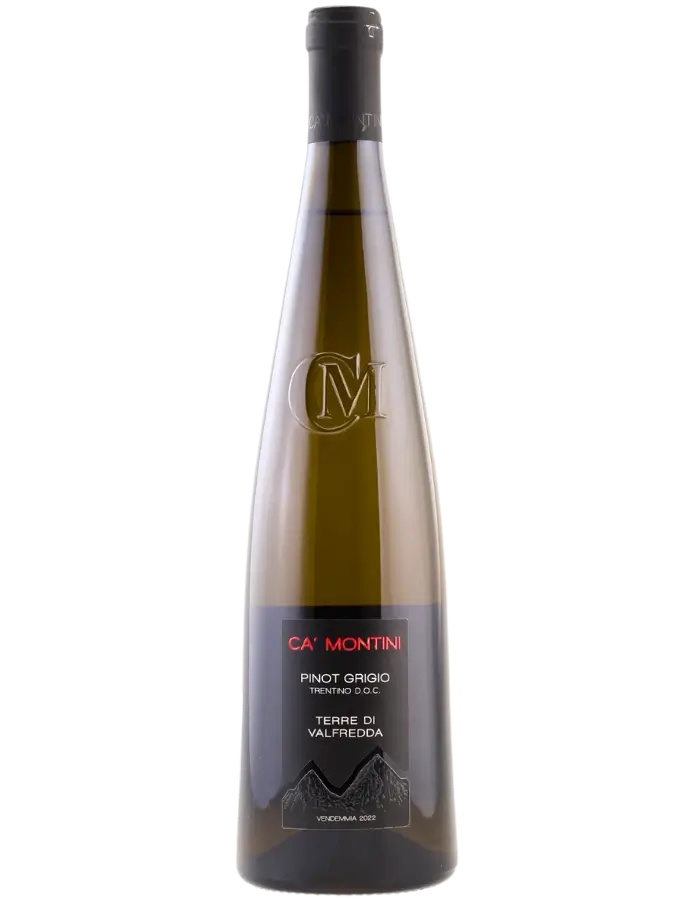 2024 Ca Montini Pinot Grigio