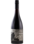 2024 Sailor Seeks Horse Dijon Clone Pinot Noir