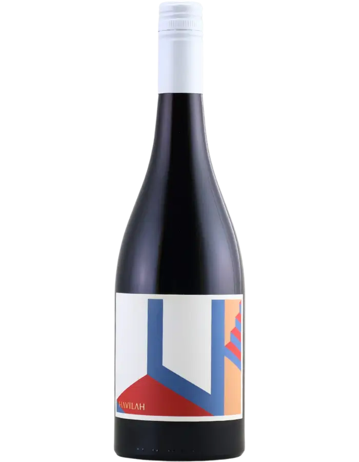 2025 Havilah Gamay