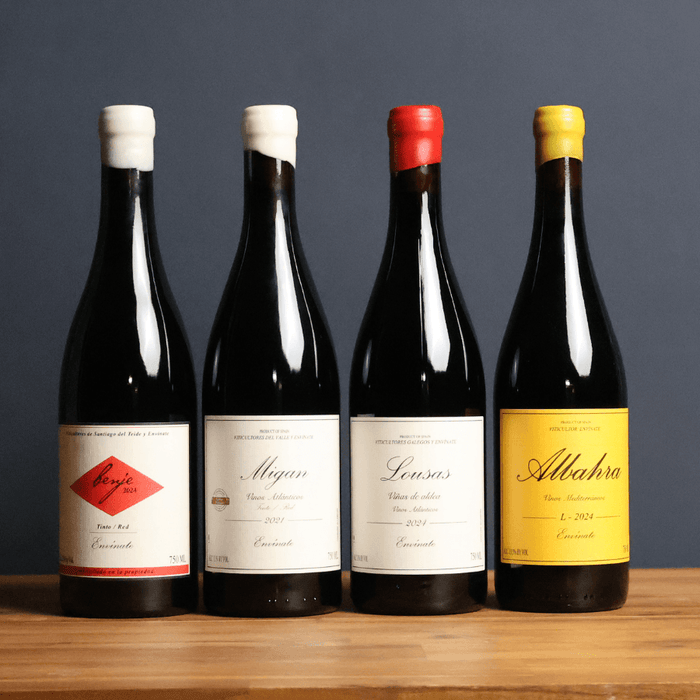 Envinate Spanish Red Masterclass Pack